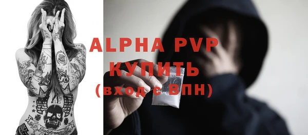 спиды Вяземский