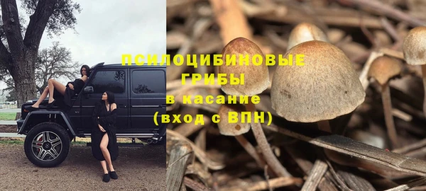 эйфоретик Волосово